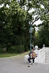 Image showing Music in the park Vienna