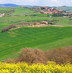 Image showing Italy. Val D'Orcia valley. Tuscany landscape