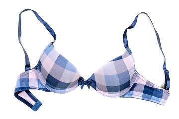 Image showing blue checkered bra
