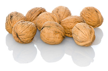 Image showing Walnuts