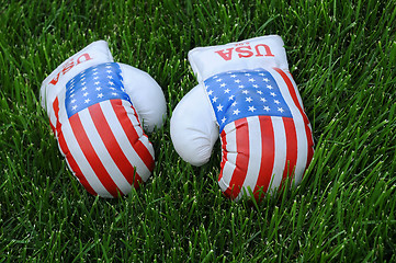 Image showing Boxing Gloves with US Flag Image on the Lawn