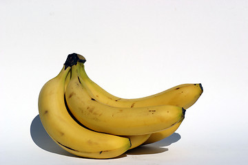 Image showing Bananas