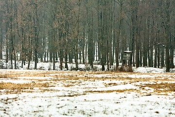 Image showing wildlife watching hut in winter forest