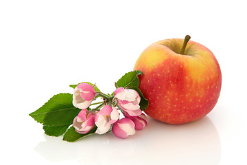 Image showing Red Dessert Apple
