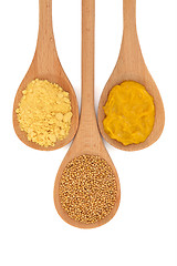 Image showing Mustard Selection