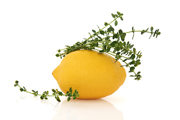 Image showing Lemon Fruit and Thyme Herb