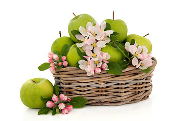 Image showing Apple Fruit and Flower Blossom