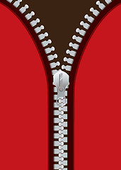 Image showing Metal red zip