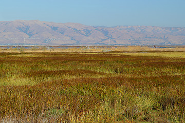 Image showing Landscape