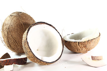 Image showing Coconut