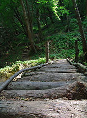 Image showing Wooden brige