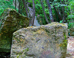 Image showing Rocks in forest