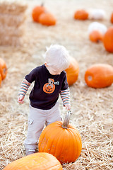 Image showing toddler and pumpkin