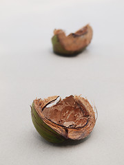 Image showing Coconut shells