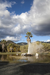 Image showing Geyser