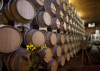 Image showing Barrels of Wine