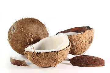 Image showing Coconut