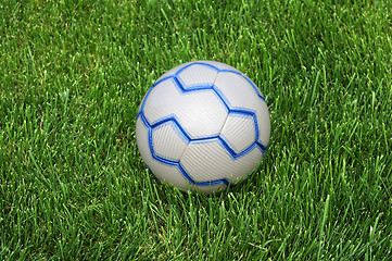 Image showing Soccer Ball on the Green Grass