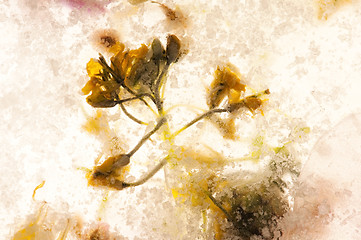 Image showing Frozen flowers. blossoms in the ice cube