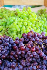 Image showing Grapes