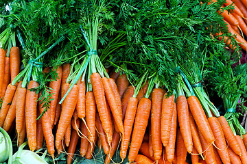 Image showing Carrots