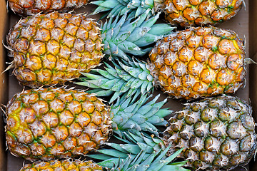 Image showing Pineapple