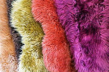 Image showing Color fur