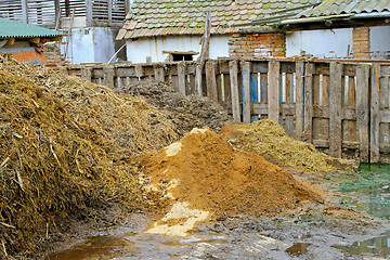 Image showing Livestock manure