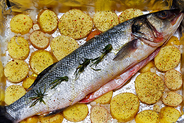 Image showing Bass fish