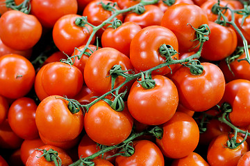 Image showing Tomato on  vine