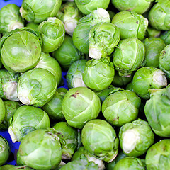 Image showing Brussels sprouts