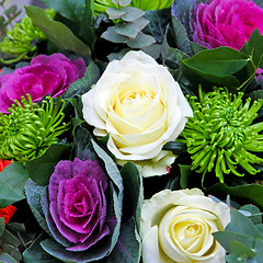 Image showing White rose