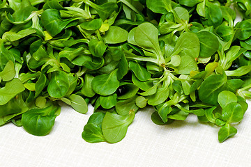 Image showing Lamb tongue salad