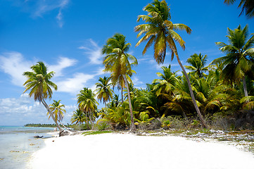 Image showing Paradise beach