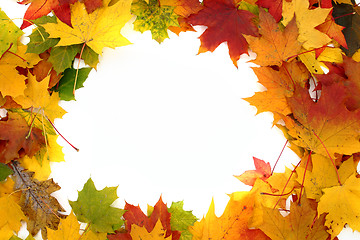 Image showing autumn background