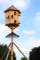 Image showing birds home