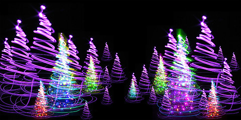 Image showing christmas forest