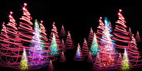 Image showing christmas forest