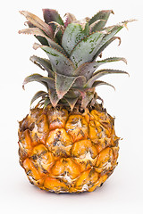 Image showing Pineapple