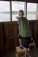 Image showing Boy watching birds