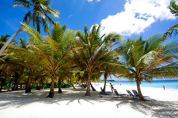 Image showing Paradise beach