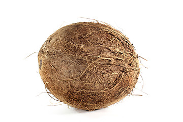 Image showing Coconut