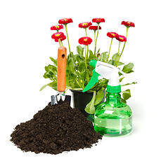 Image showing Flower planting tools and dirt