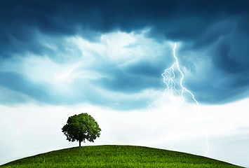 Image showing Storm and tree