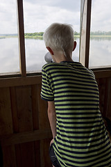 Image showing Bird interested boy