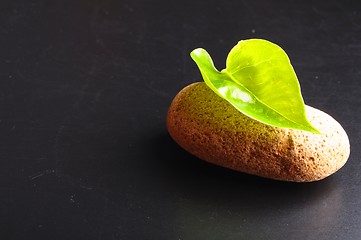 Image showing zen still life