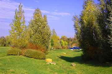 Image showing summer in the park with green trees and grass