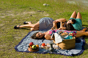 Image showing Picnic