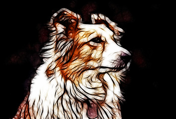 Image showing Artistic Impression Border Collie