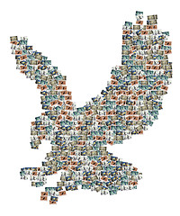 Image showing Eagle Pictures Collage